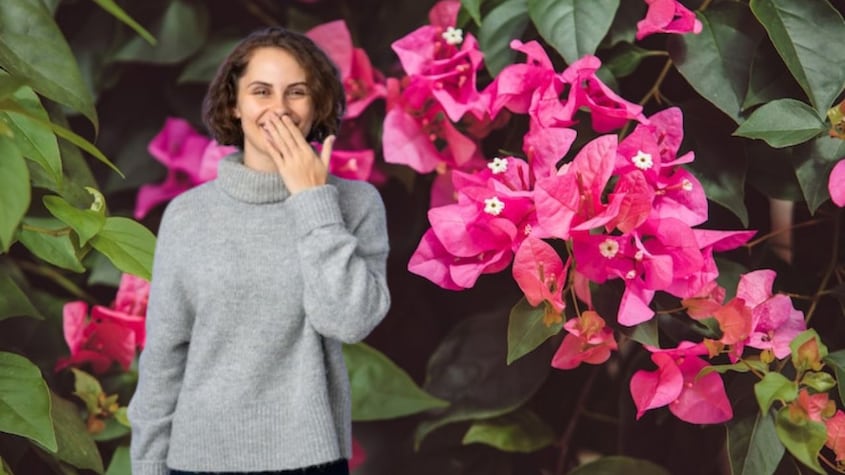 Cuál es la planta ideal para decorar un balcón que se vende en Lidi y cuesta menos de 7 euros