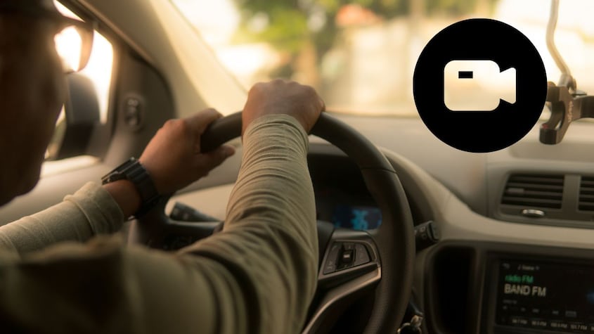 El imponente reptil que cruzó una carretera en Florida y obligó a detener