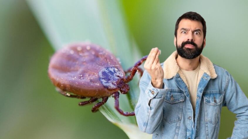 Expertos lanzan una dura advertencia para las zonas rurales de España