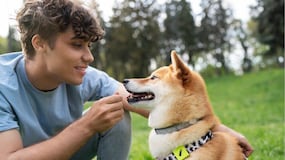 Confirmado por la ciencia: tu perro entiende cuando le hablas y más de lo que en España se conocía
