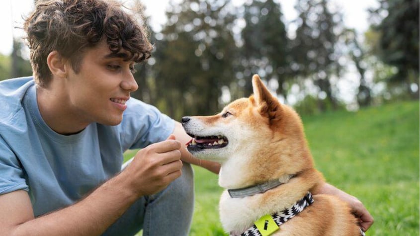 Confirmado por la ciencia: tu perro entiende cuando le hablas y más de lo que en España se conocía