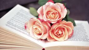 Saint Jordi 2025: ¿Cuánto dinero acumularon las librerías de Barcelona?