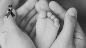 Un bebé de 11 meses muere tras ser mordido por el perro de su familia en Barcelona