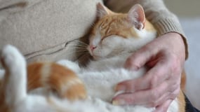 El precio de la luz el jueves 7 de marzo de 2024: ¿Cuándo está la luz más barata?