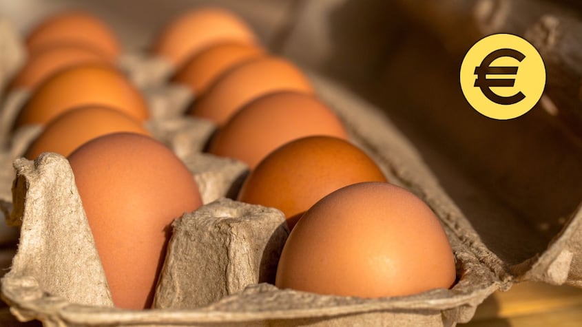 Precio huevos