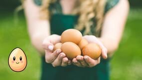 ¿Qué nos sucede si comemos huevos todos los días?