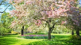 ¿Qué día de marzo empieza la primavera 2025 en España?