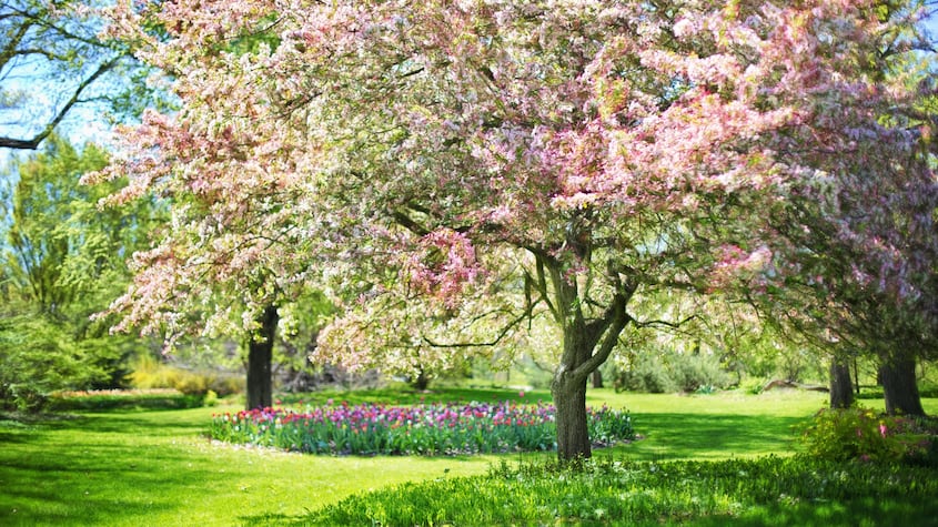 ¿Qué día de marzo empieza la primavera 2025 en España?