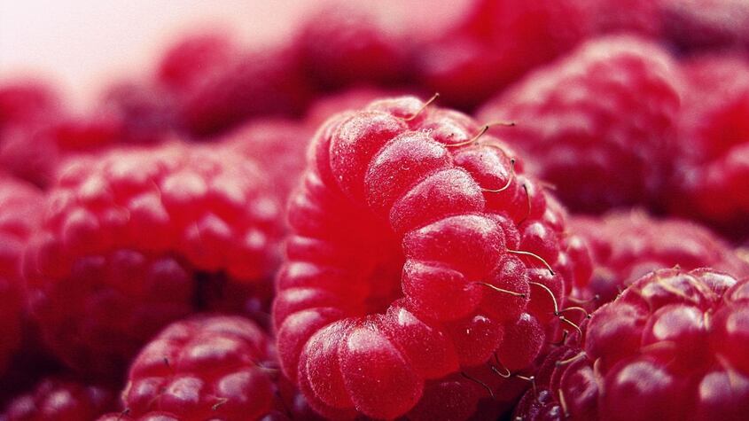 Si sufres algunas de estas enfermedades no debes comer frambuesas