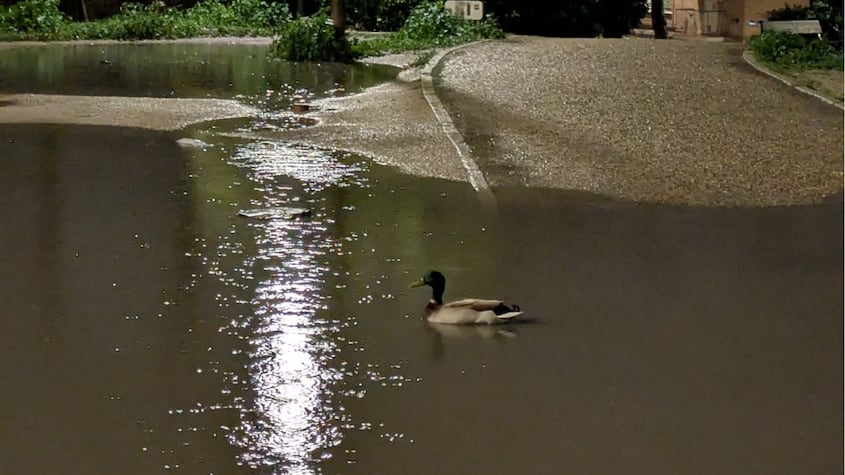 Desbordamiento Manzanares