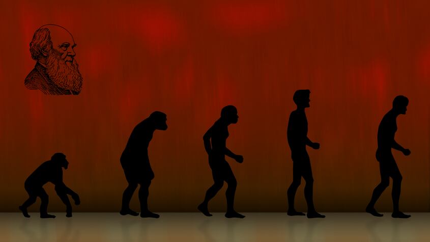 24 de noviembre, Día de la Evolución, para celebrar el conocimiento en el mundo