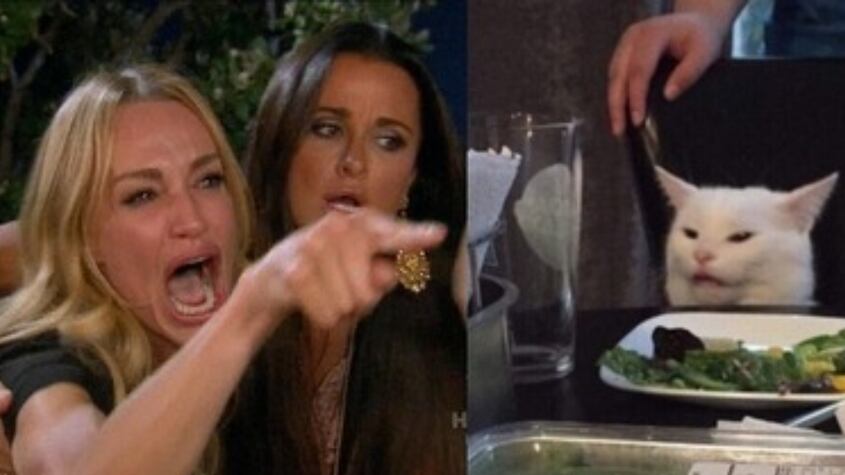 Así luce hoy la protagonista del meme “el gato en la mesa” y otros 3 virales famosos más