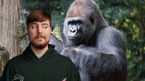 ¿Podrían 100 hombres derrotar a un gorila? MrBeast quiere probar este debate viral