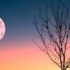 ¿Cómo y cuándo ver la “Luna de Fresa” desde España?