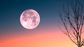 ¿Cómo y cuándo ver la “Luna de Fresa” desde España?