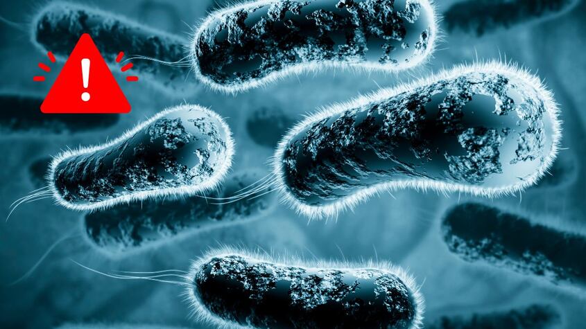 Superbacterias.