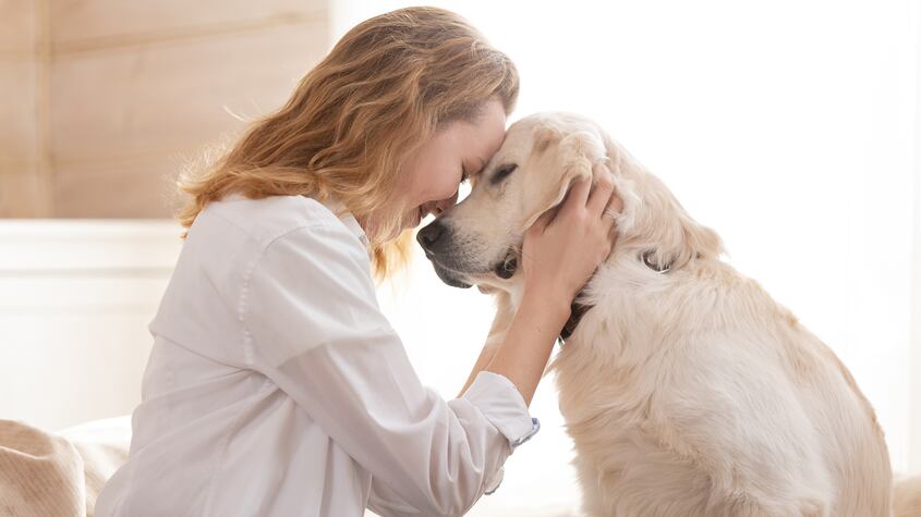 Hospital español permite a los enfermos terminales despedirse de sus mascotas