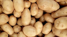 ¿Por qué el precio de la patata se dispara en España?