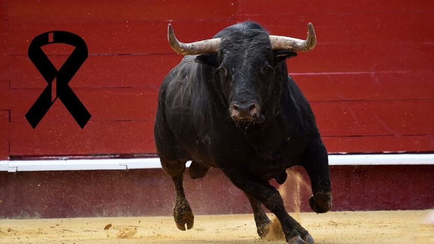 Ataque de toro.