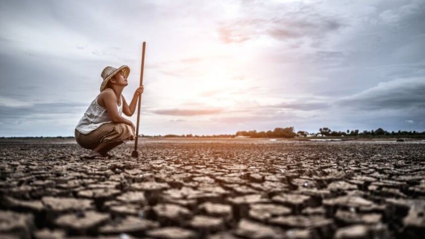 Millones de trabajadores en el mundo enfrentan riesgos a la salud ligados al cambio climático