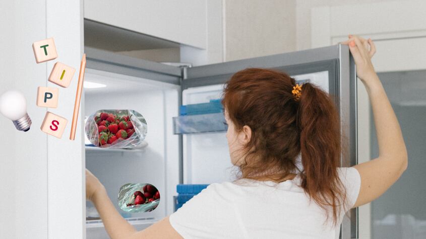 ¿Cuál es el lugar ideal para conservar las frutillas y evitar su descomposición?