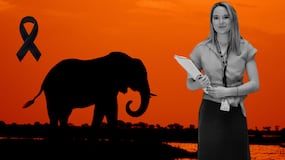 Dolor por la muerte de Blanca Ojanguren, la española víctima de un elefante en Tailandia