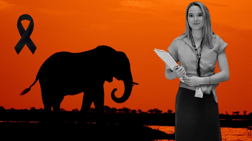 Dolor por la muerte de Blanca Ojanguren, la española víctima de un elefante en Tailandia