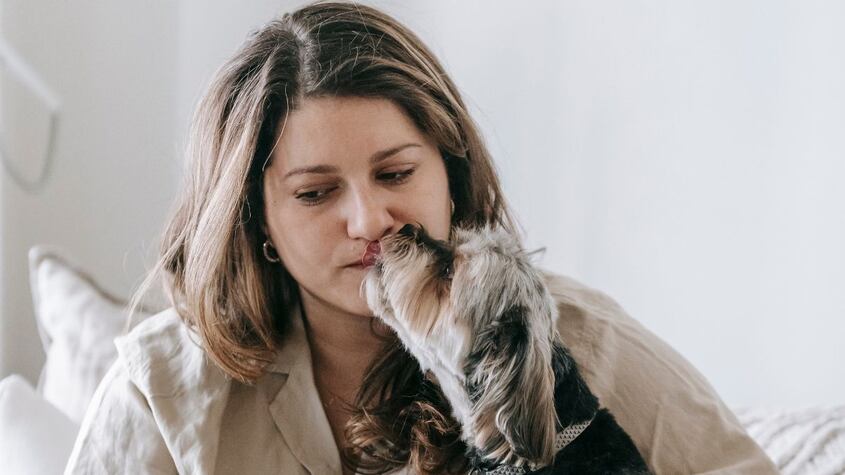 El significado especial de que tu perro pase la lengua por tu rostro