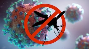 Un vecino pierde la vida por el virus del Nilo tras cinco meses en la UCI