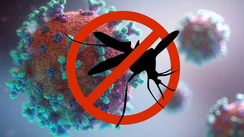 Un vecino pierde la vida por el virus del Nilo tras cinco meses en la UCI