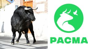 Terrible, matan a calambrazos a un toro en Albacete