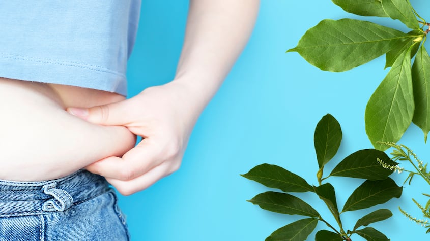 ¿Cómo puedo preparar una infusión de guaraná para perder grasa? Foto: Canva