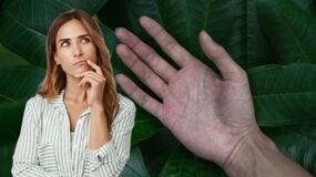 Qué significan las 3 líneas en las palmas de las manos