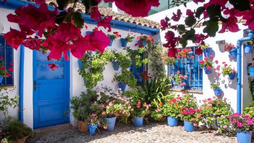 Patios de Córdoba