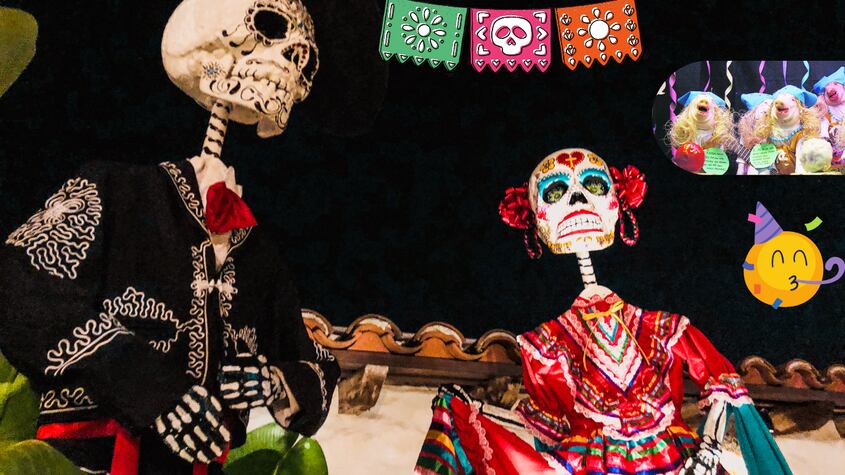 1 de noviembre “día de todos los santos” cronograma de actividades por región en España