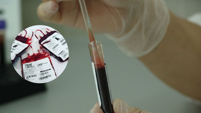 Este es el tipo de sangre más raro en España: Solo 0.5% de las personas lo tienen